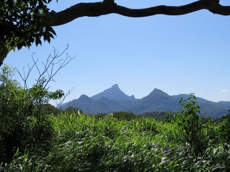 92 Malabar Avenue, Uki NSW 2484