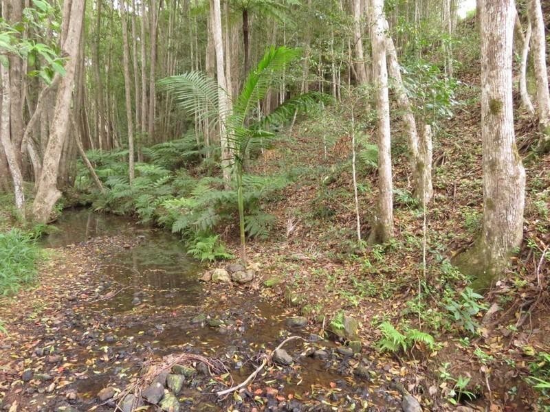 92 Malabar Avenue, Uki NSW 2484