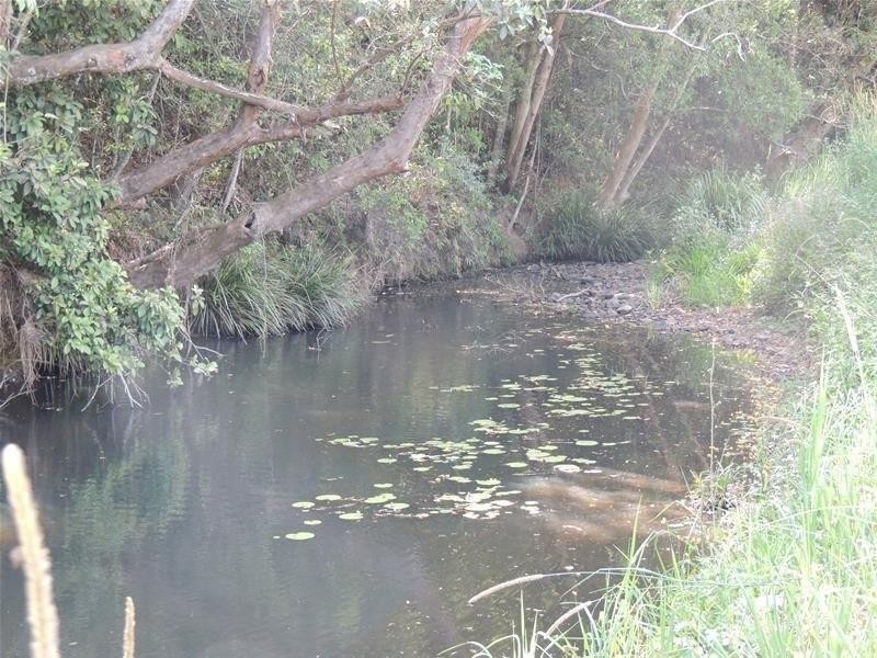 139 Chowan Creek Road, Uki NSW 2484