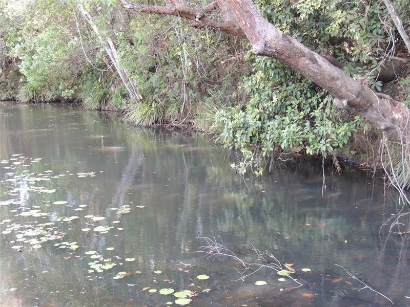 139 Chowan Creek Road, Uki NSW 2484