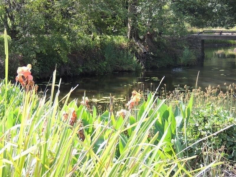 139 Chowan Creek Road, Uki NSW 2484