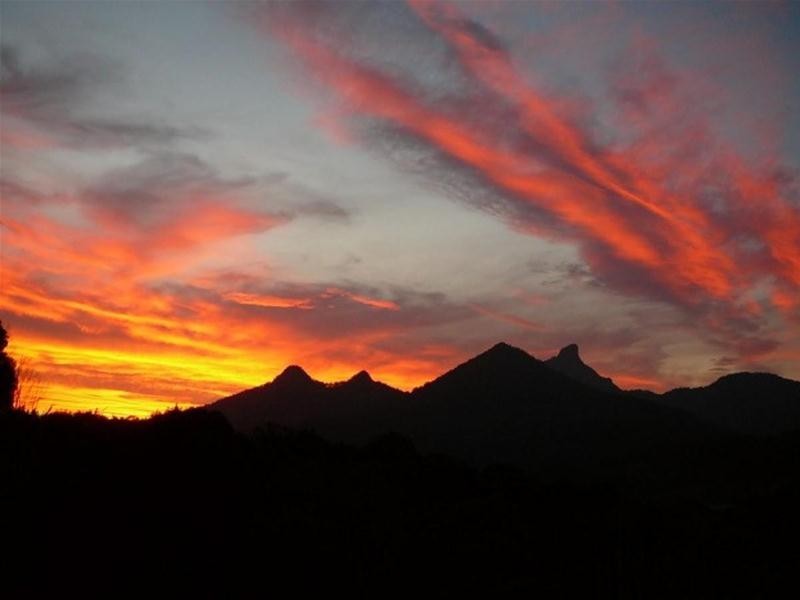 Lot 24 Bonnydoon Road, Uki NSW 2484