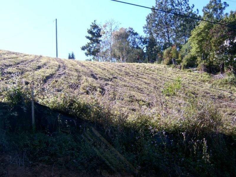 148 Mitchell Street, Uki NSW 2484