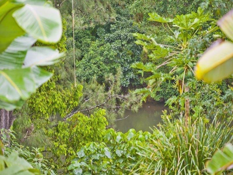 1468 Kyogle Road, Uki NSW 2484