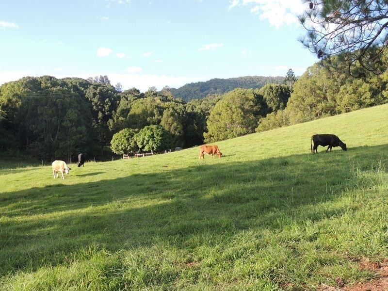 1279 Kyogle Road, Uki NSW 2484