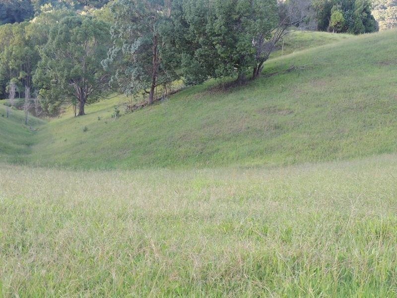 1279 Kyogle Road, Uki NSW 2484