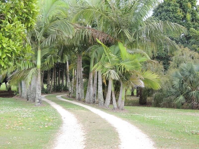 79-81 Tweed Valley Way, Murwillumbah NSW 2484