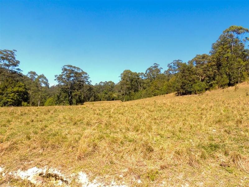 309 Tunnel Road, Stokers Siding NSW 2484
