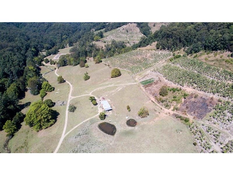 309 Tunnel Road, Stokers Siding NSW 2484