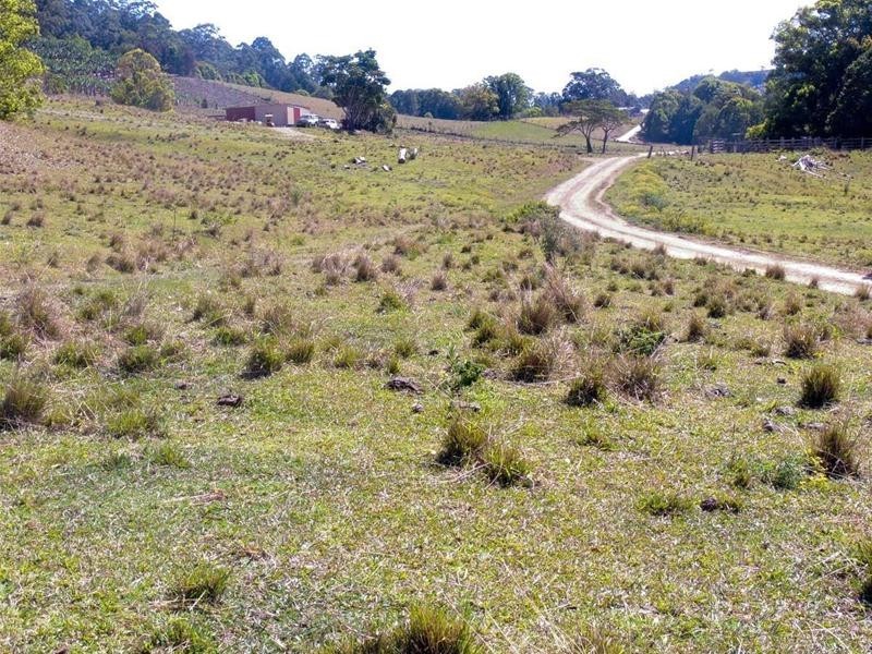 309 Tunnel Road, Stokers Siding NSW 2484