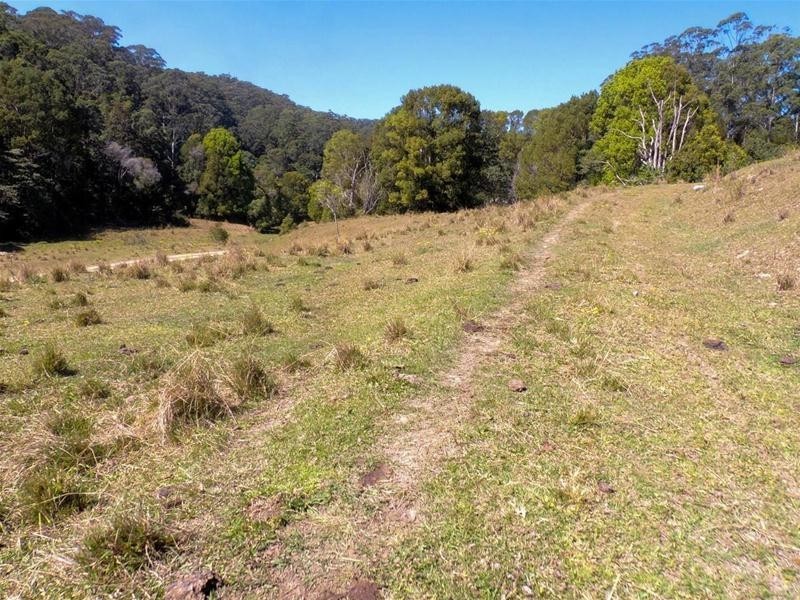 309 Tunnel Road, Stokers Siding NSW 2484