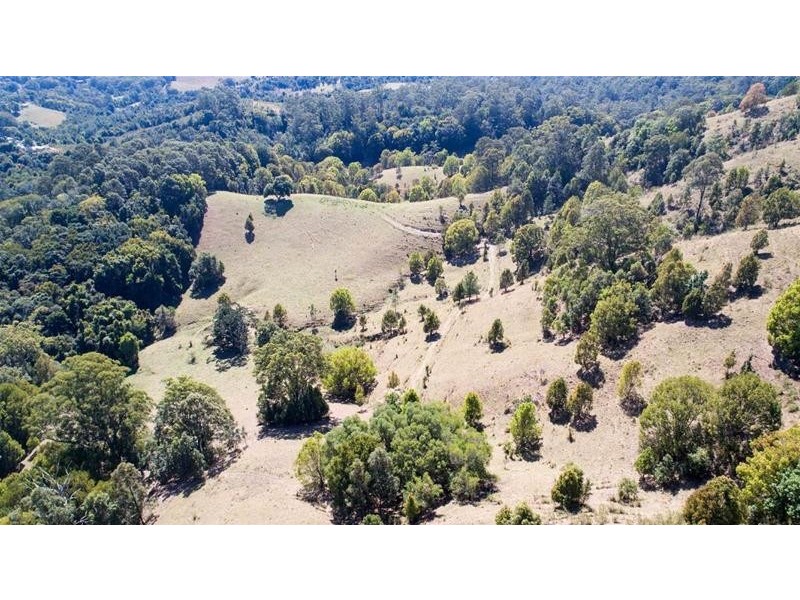 309 Tunnel Road, Stokers Siding NSW 2484