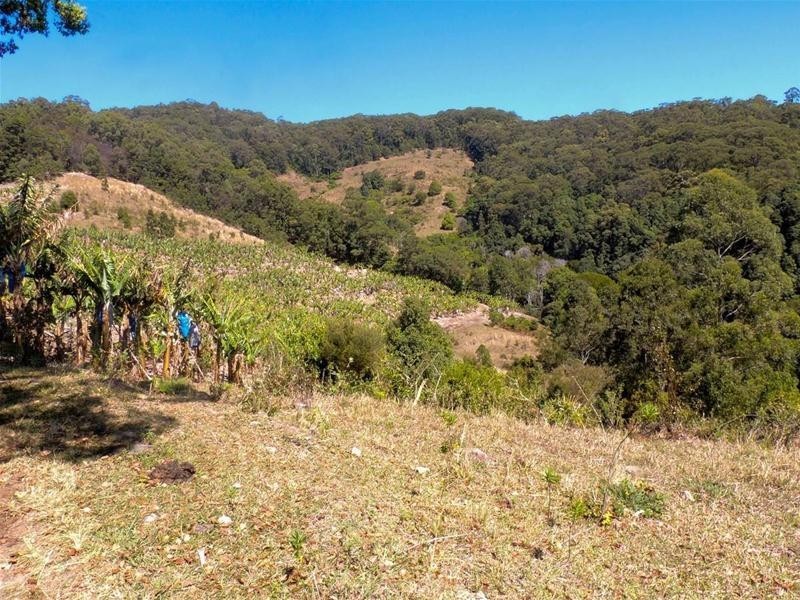 309 Tunnel Road, Stokers Siding NSW 2484