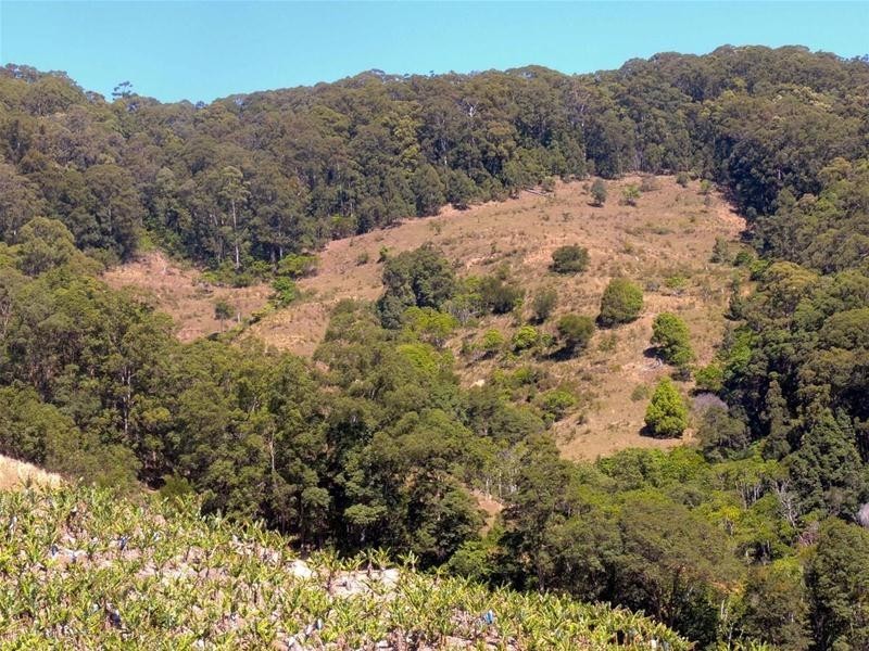 309 Tunnel Road, Stokers Siding NSW 2484