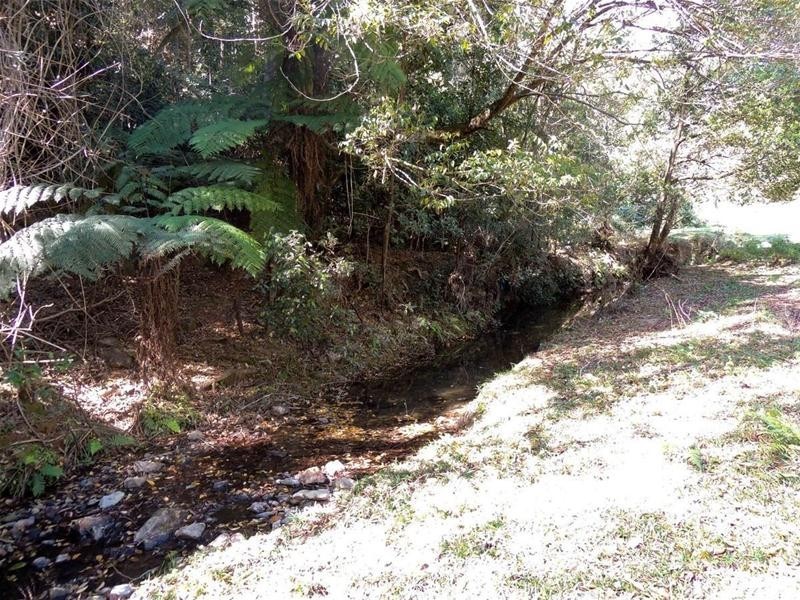 309 Tunnel Road, Stokers Siding NSW 2484