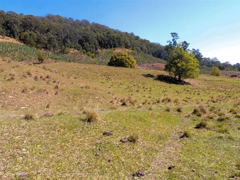 309 Tunnel Road, Stokers Siding NSW 2484