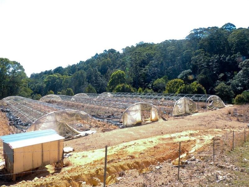 309 Tunnel Road, Stokers Siding NSW 2484