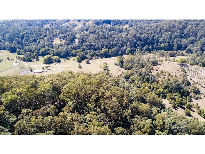 309 Tunnel Road, Stokers Siding NSW 2484