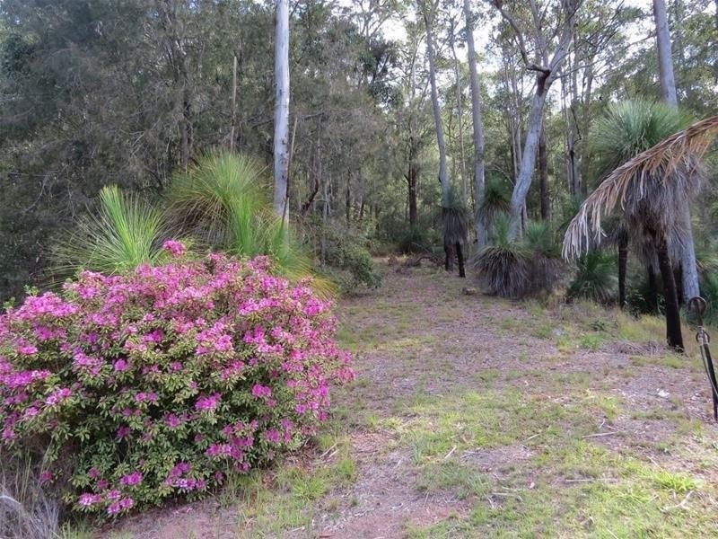 254 Rowlands creek Road, Uki NSW 2484