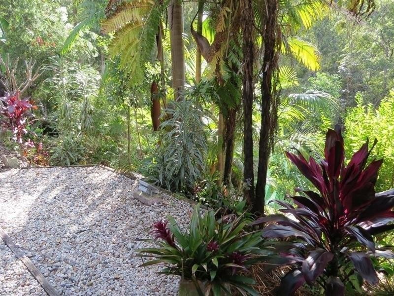 254 Rowlands creek Road, Uki NSW 2484