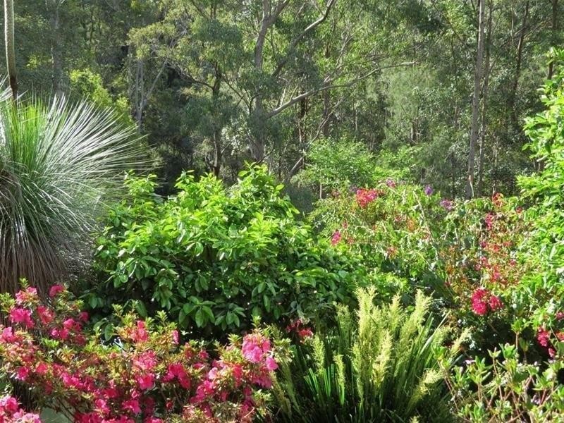 254 Rowlands creek Road, Uki NSW 2484