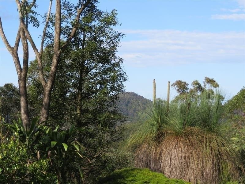 254 Rowlands creek Road, Uki NSW 2484