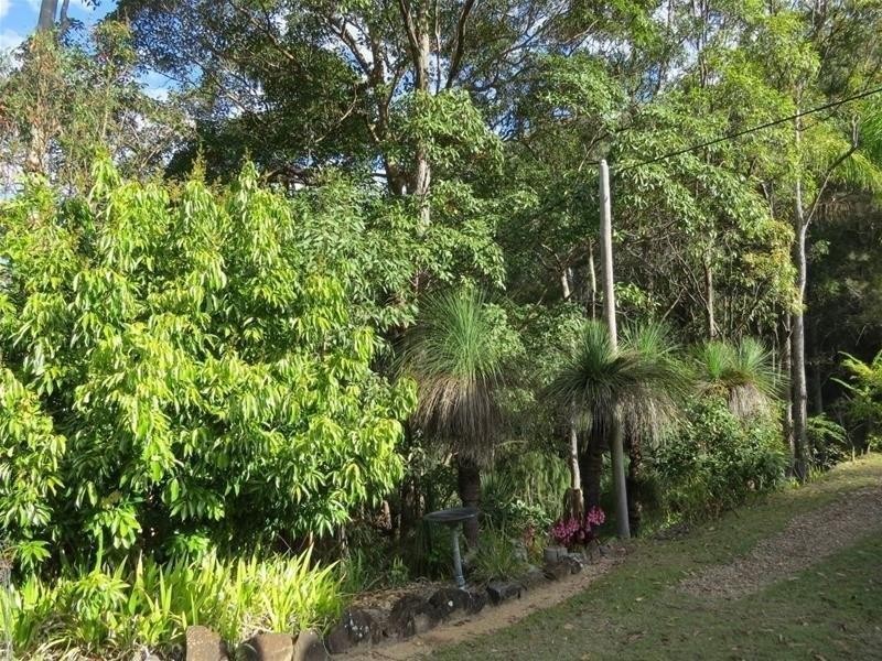 254 Rowlands creek Road, Uki NSW 2484