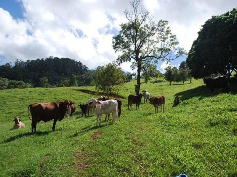 13 Pigeonberry Road, Nobbys Creek NSW 2484