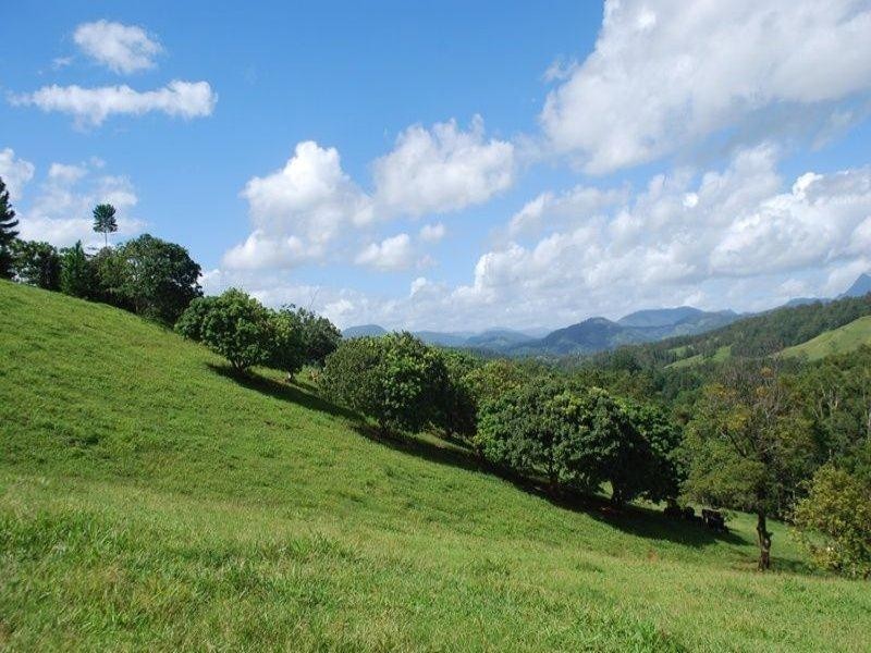 13 Pigeonberry Road, Nobbys Creek NSW 2484