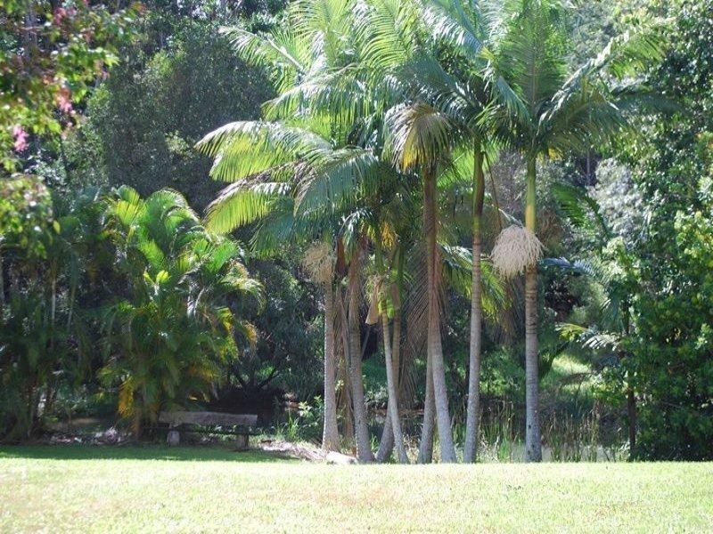 13 Pigeonberry Road, Nobbys Creek NSW 2484