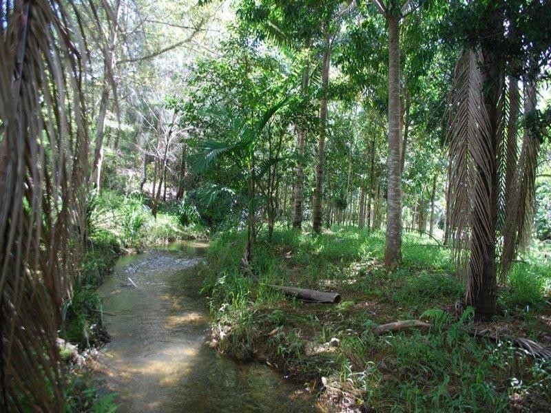 13 Pigeonberry Road, Nobbys Creek NSW 2484