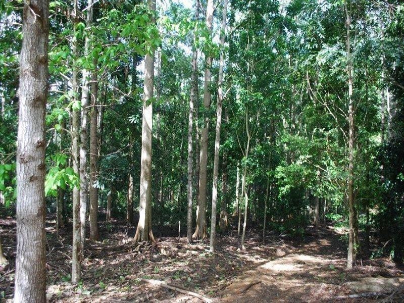 13 Pigeonberry Road, Nobbys Creek NSW 2484