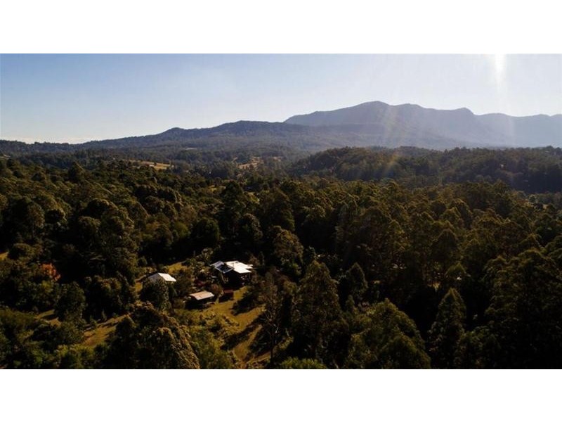 Lot2/3565 Kyogle Road, Mount Burrell NSW 2484