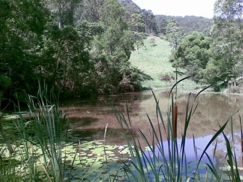 90 Wallaby Court, Stokers Siding NSW 2484