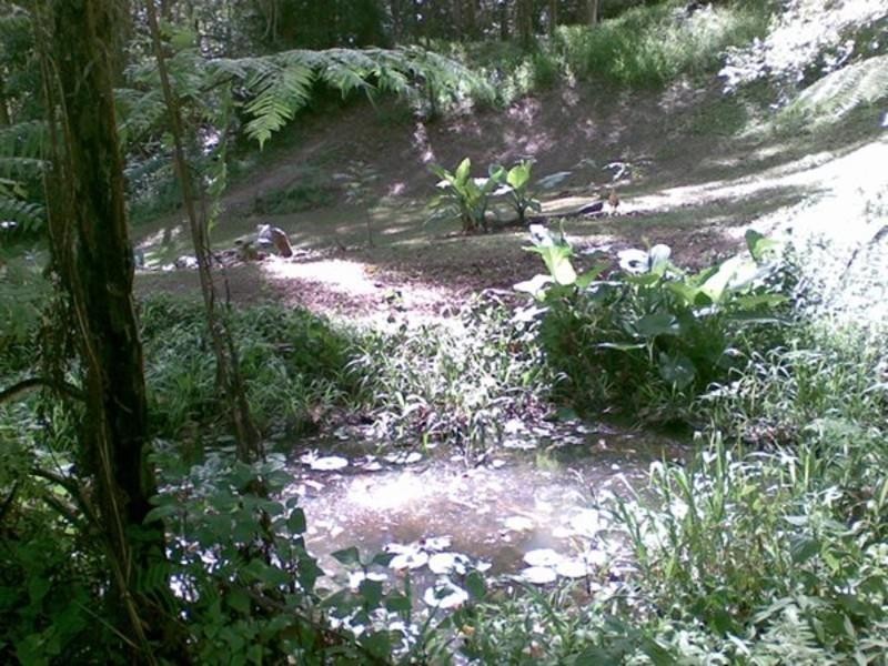 90 Wallaby Court, Stokers Siding NSW 2484