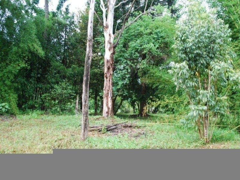 433 Byrrill Creek Road, Uki NSW 2484