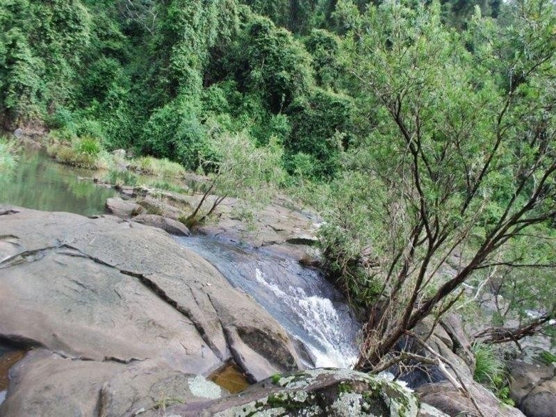 433 Byrrill Creek Road, Uki NSW 2484