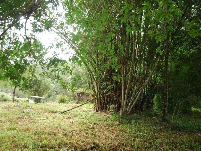 433 Byrrill Creek Road, Uki NSW 2484