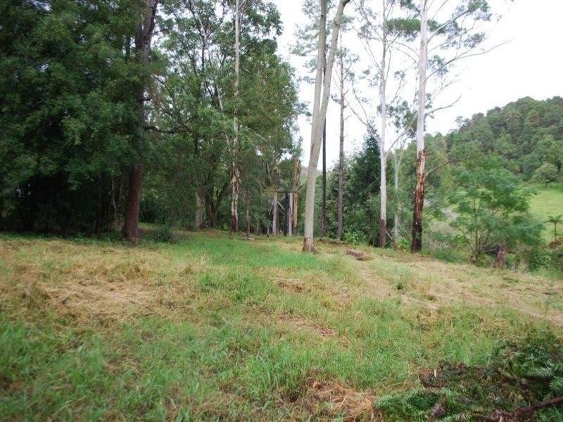 433 Byrrill Creek Road, Uki NSW 2484