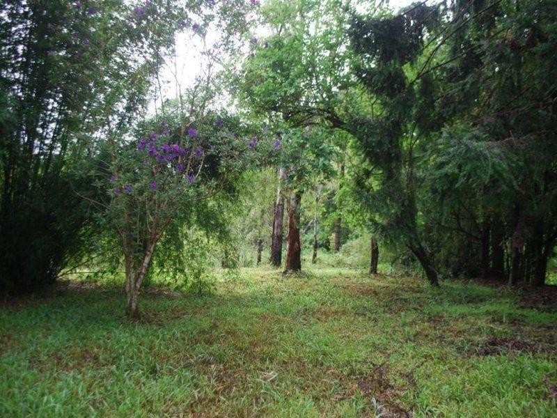 433 Byrrill Creek Road, Uki NSW 2484