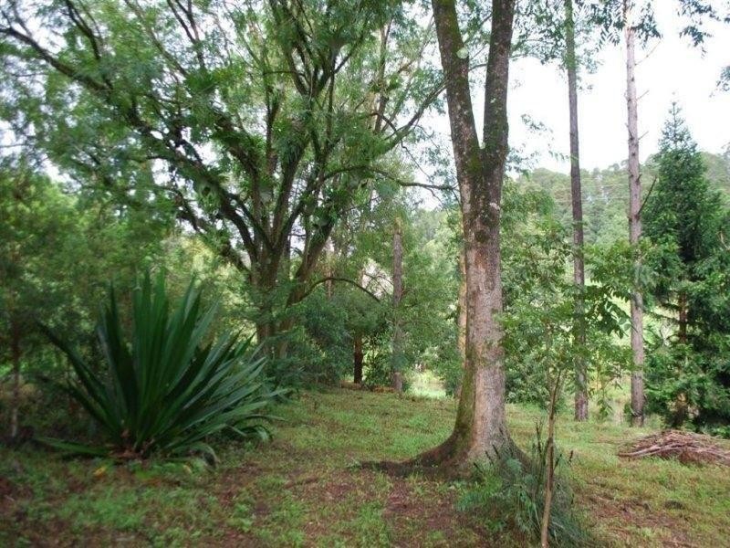 433 Byrrill Creek Road, Uki NSW 2484