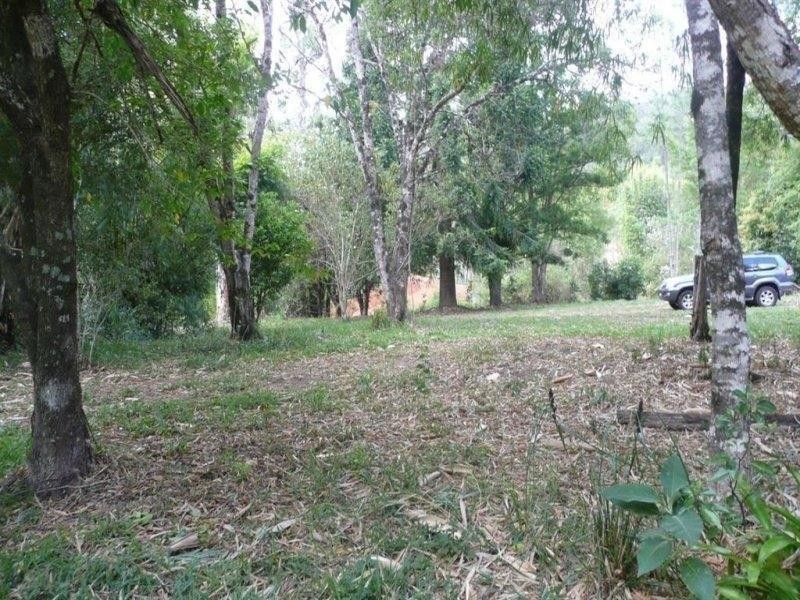 433 Byrrill Creek Road, Uki NSW 2484