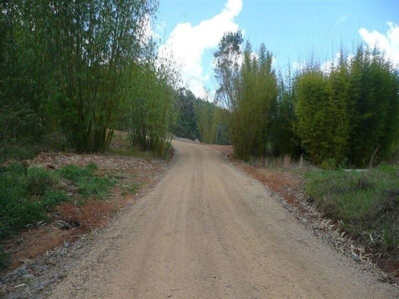 433 Byrrill Creek Road, Uki NSW 2484