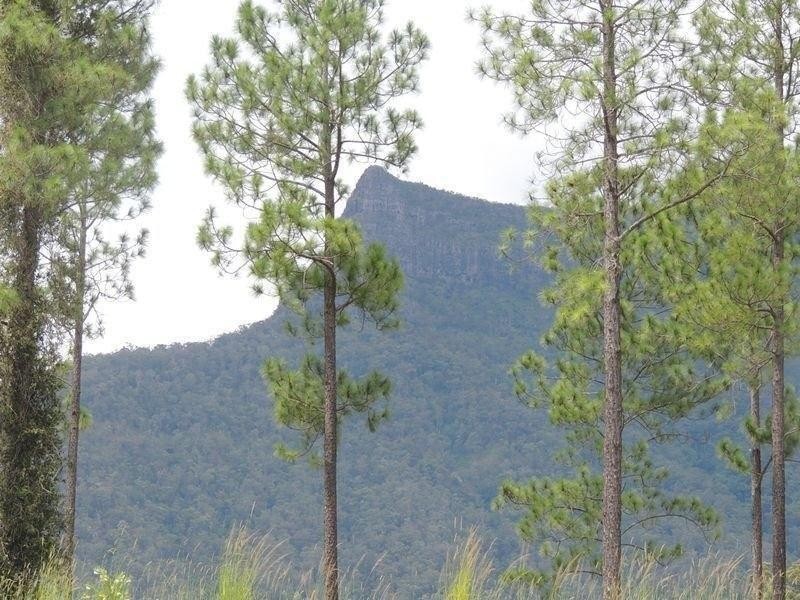 76 Starlight Way, Pumpenbil NSW 2484