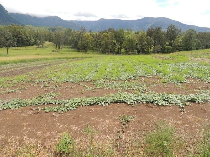 76 Starlight Way, Pumpenbil NSW 2484