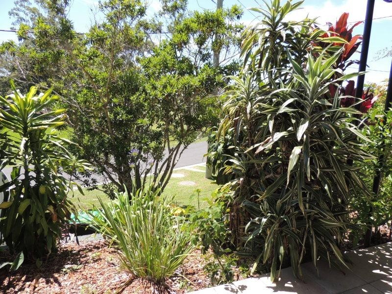 13 Reynolds Street, Murwillumbah NSW 2484