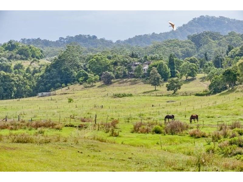 47 Glencoe Road, Murwillumbah NSW 2484