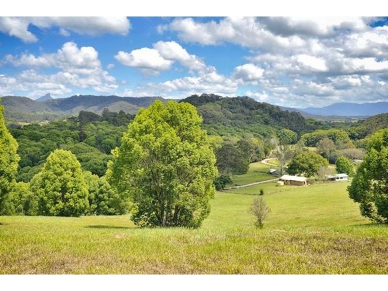 2 Ringtail Road, Stokers Siding NSW 2484