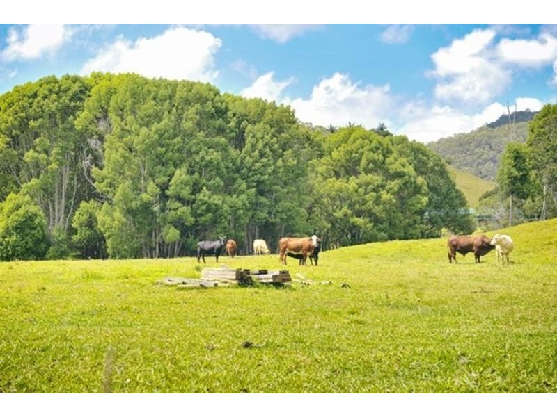 2 Ringtail Road, Stokers Siding NSW 2484