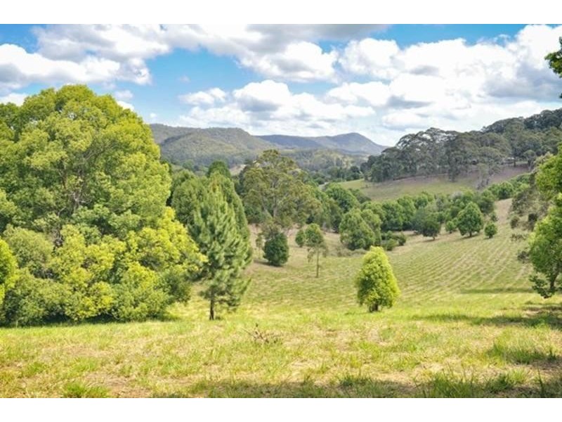 2 Ringtail Road, Stokers Siding NSW 2484